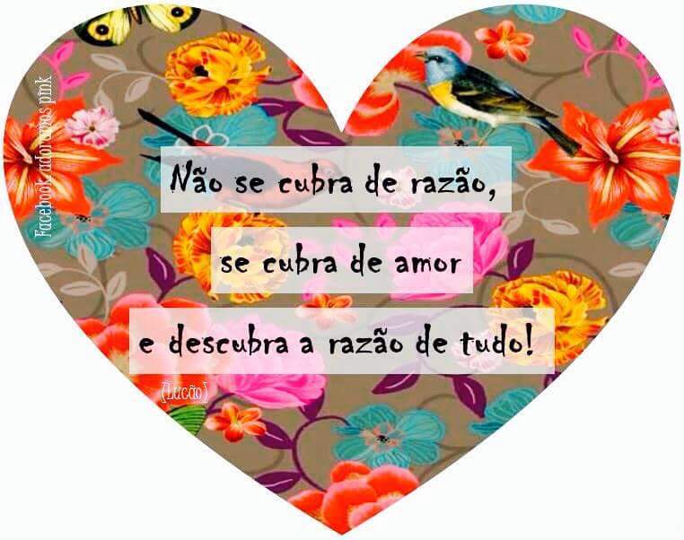 10370826_958542634243564_8621595395034992905_n