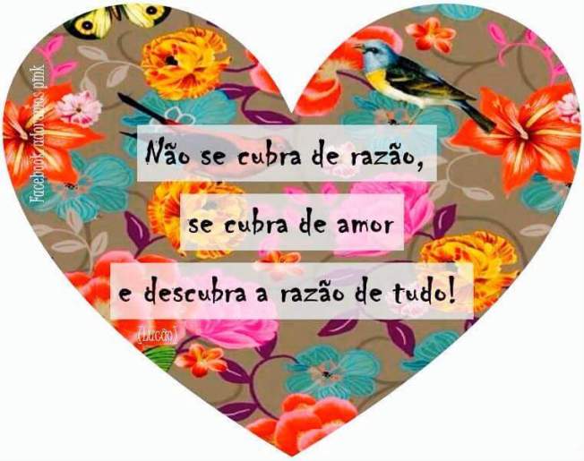 10370826_958542634243564_8621595395034992905_n