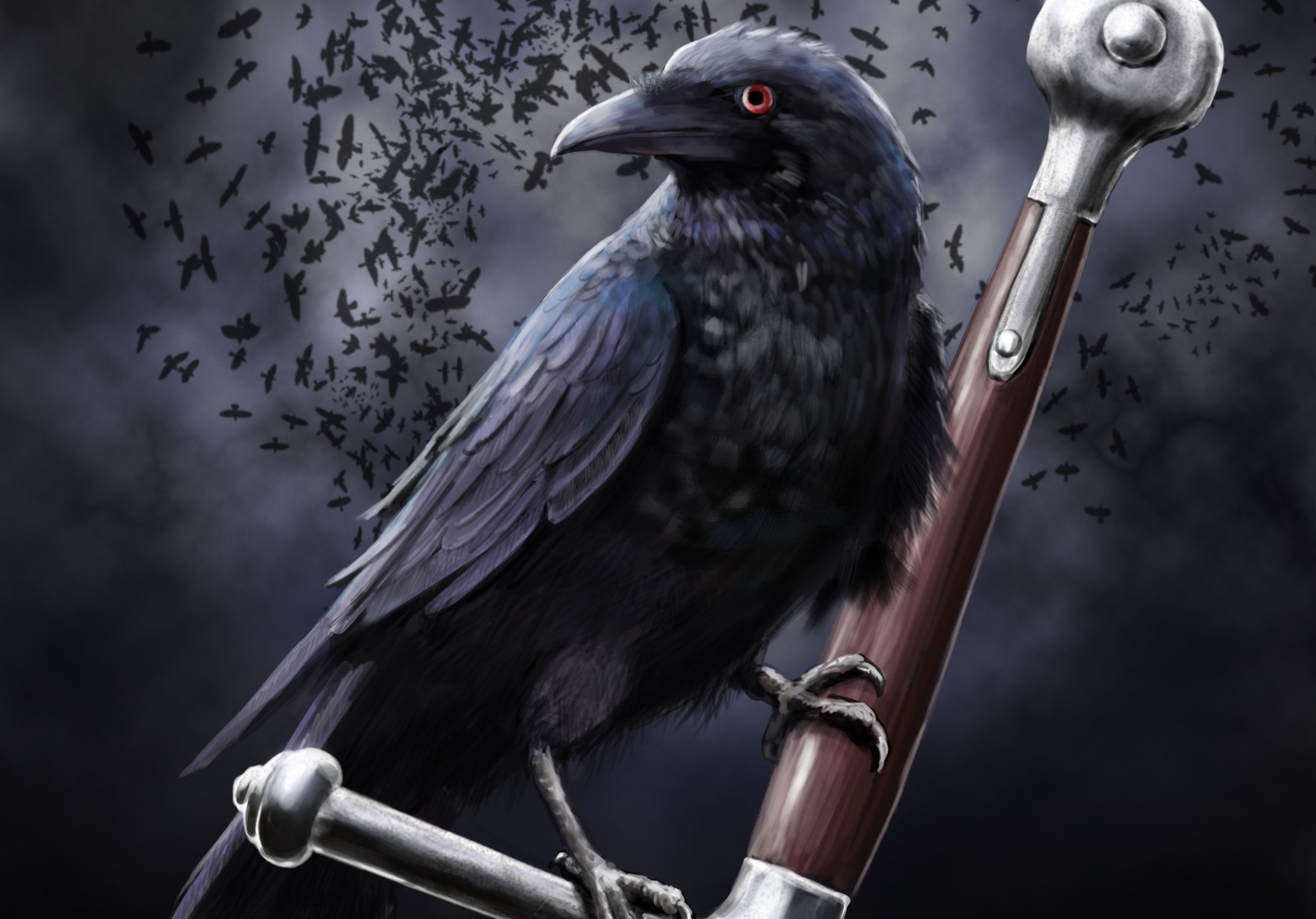 corvo-do-norte-2-forma-de-corvo