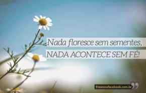 frases-nada-floresce-sem-sementes-290x186
