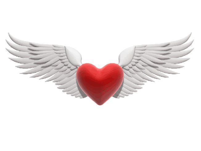 bcdc6d02779303c158cab0ad7c2732c5